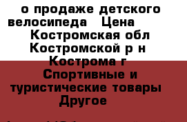 о продаже детского велосипеда › Цена ­ 2 500 - Костромская обл., Костромской р-н, Кострома г. Спортивные и туристические товары » Другое   